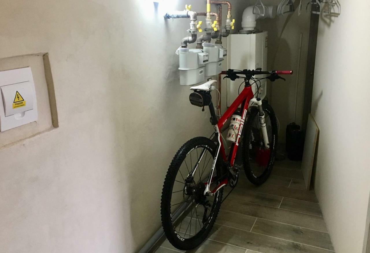 Apartman U Gotickeho Dvojcete Litoměřice المظهر الخارجي الصورة